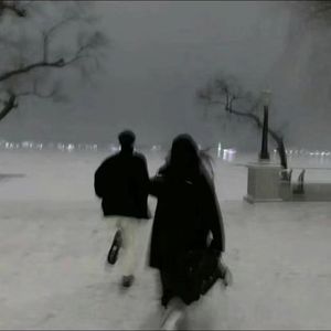 田中宁宁演的作品免费观看
