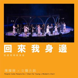 田中宁宁演的作品免费观看
