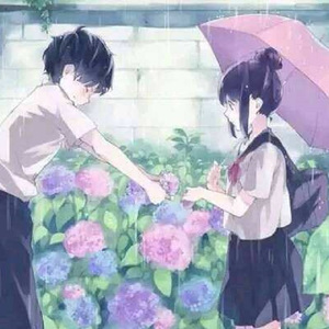 田中宁宁演的作品免费观看
