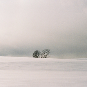 田中宁宁演的作品免费观看
